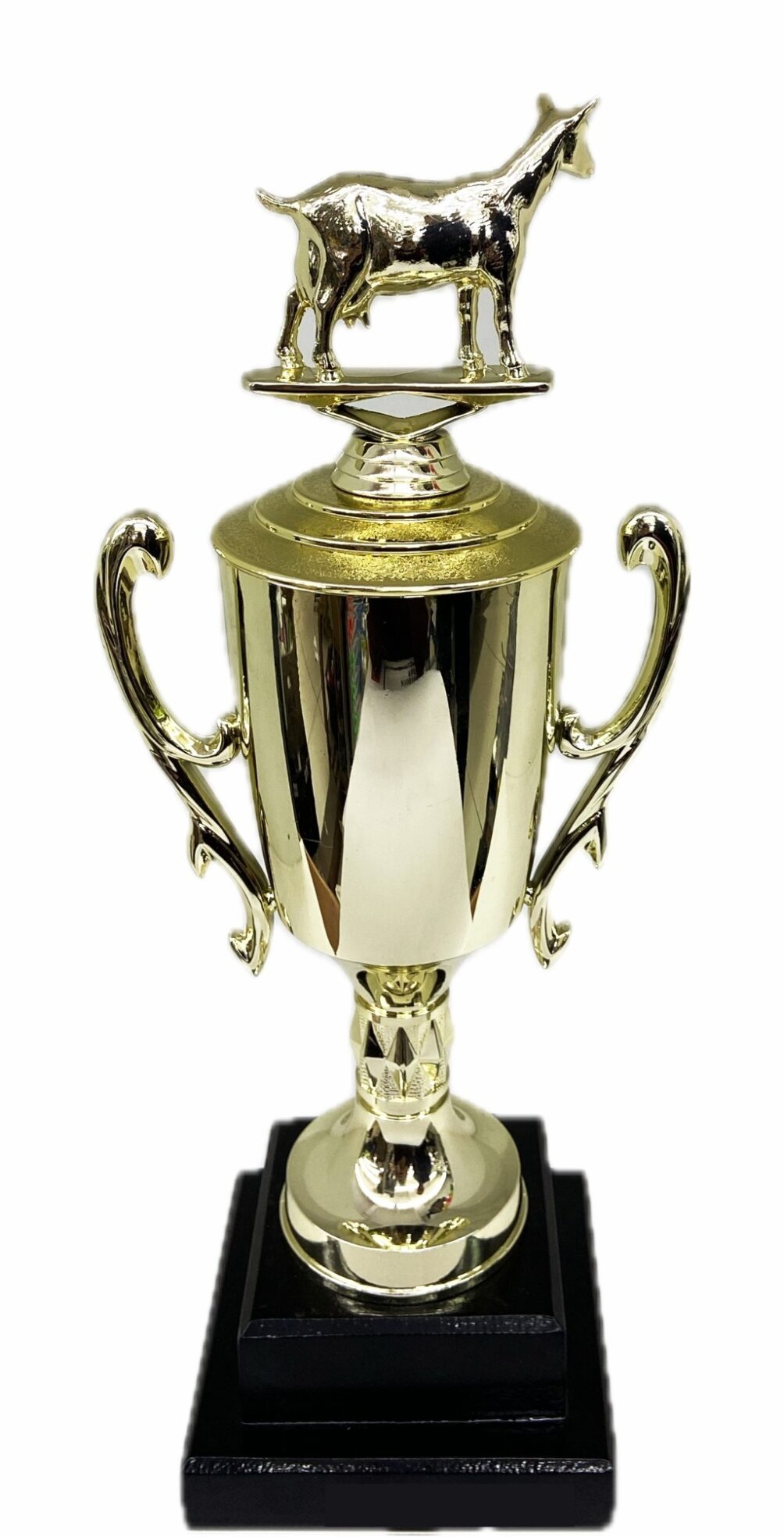 Dairy Goat Trophy 315mm