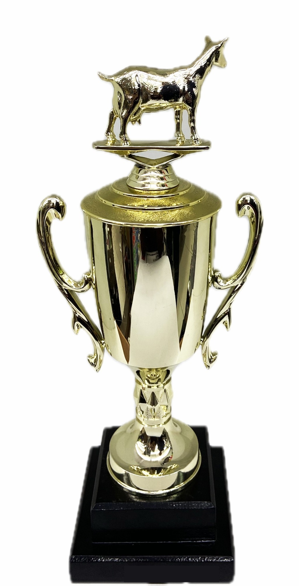 Dairy Goat Trophy 315mm