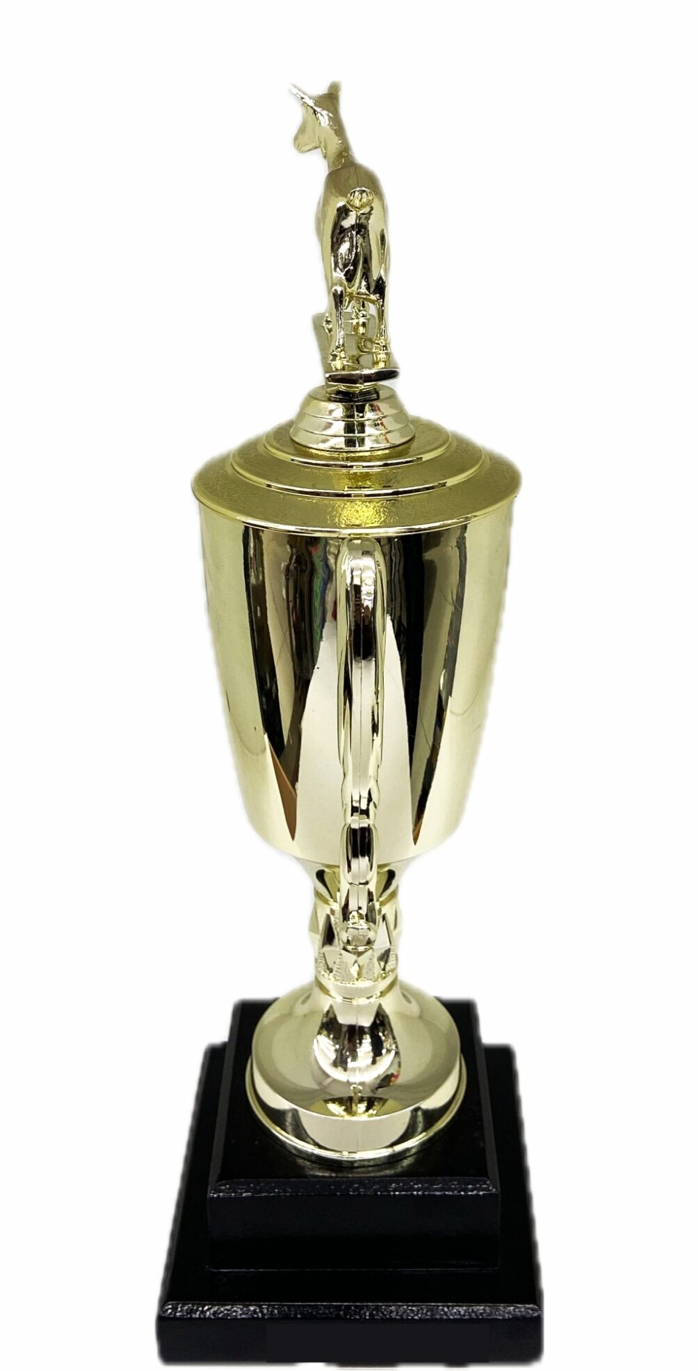 Dairy Goat Trophy 315mm