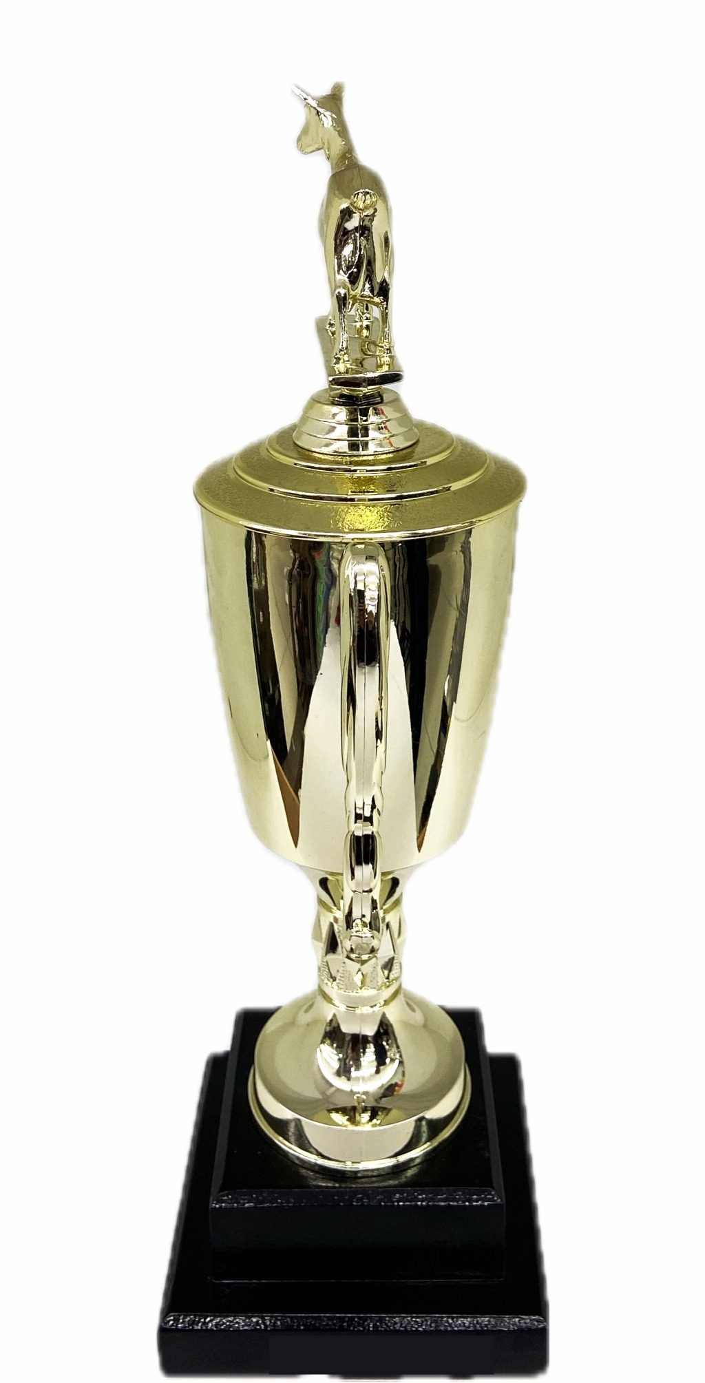 Dairy Goat Trophy 315mm