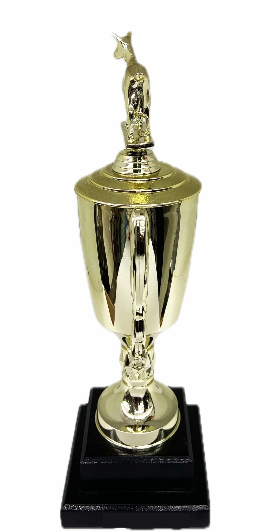 Dairy Goat Trophy 315mm