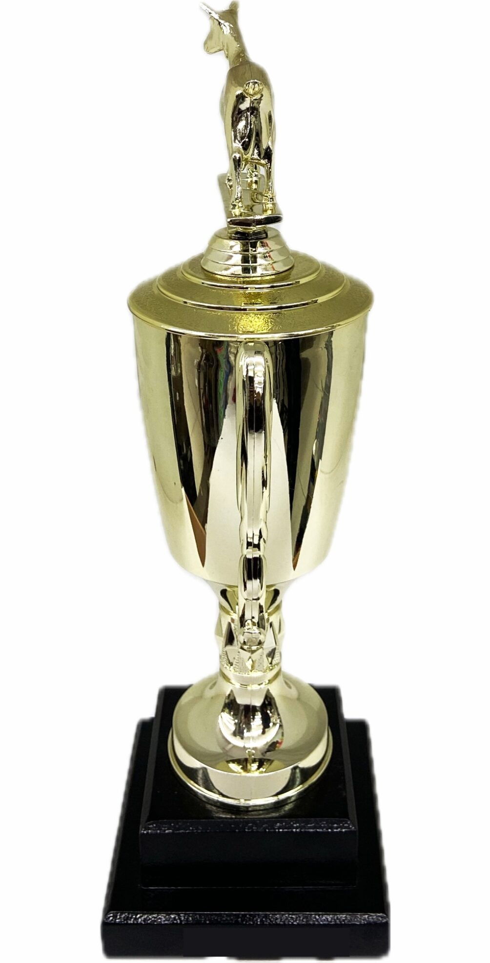 Dairy Goat Trophy 355mm