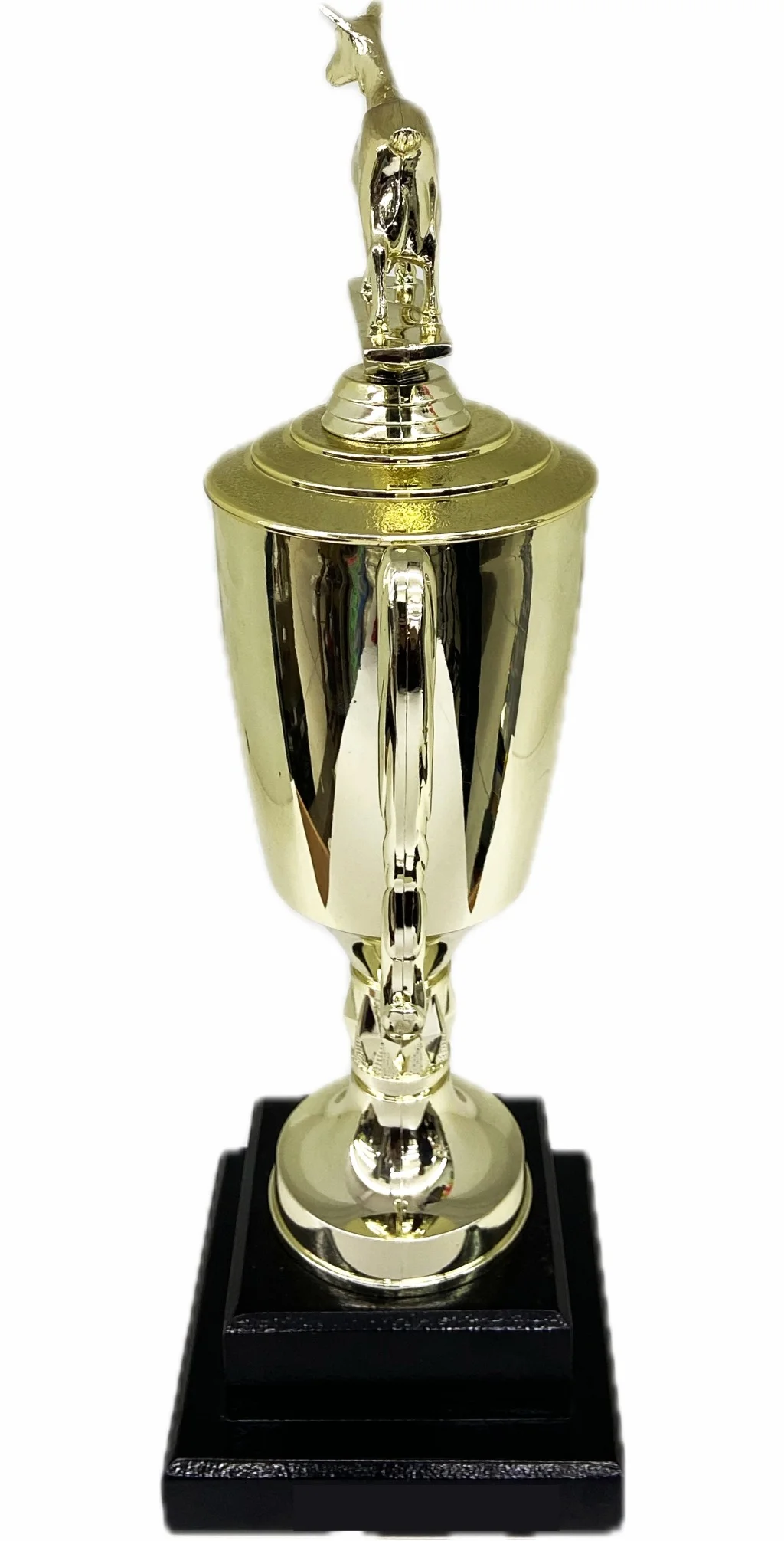 Dairy Goat Trophy 355mm