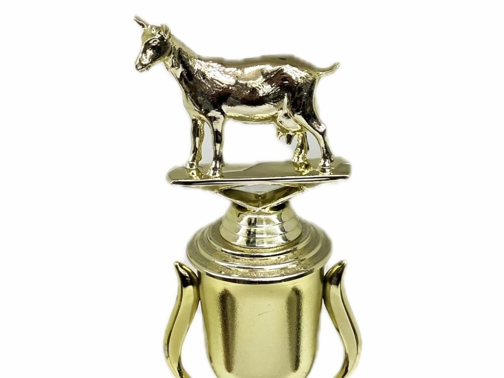 Dairy Goat Trophy 215mm