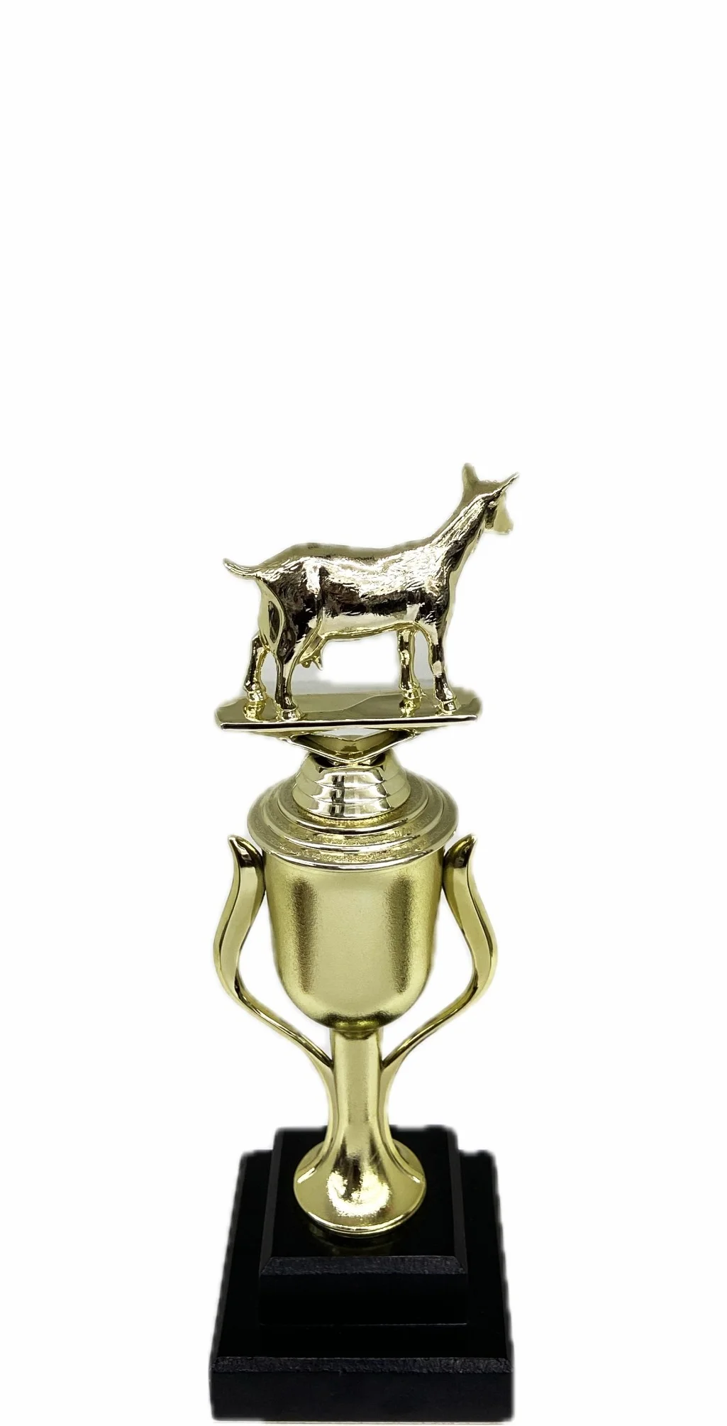 Dairy Goat Trophy 215mm