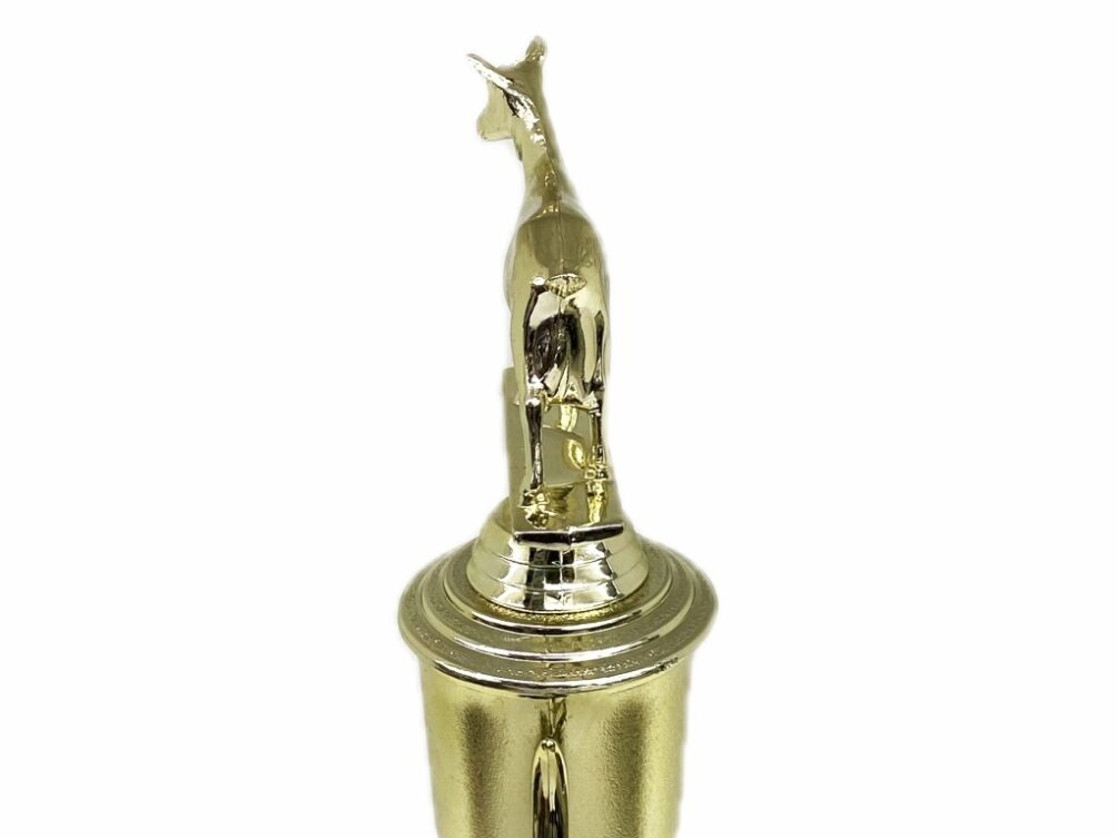 Dairy Goat Trophy 215mm