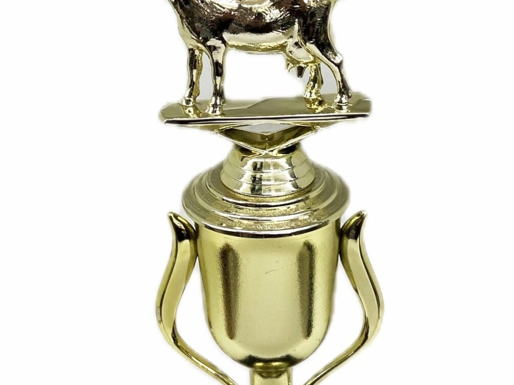 Dairy Goat Trophy 240mm