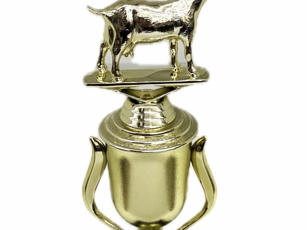 Dairy Goat Trophy 240mm