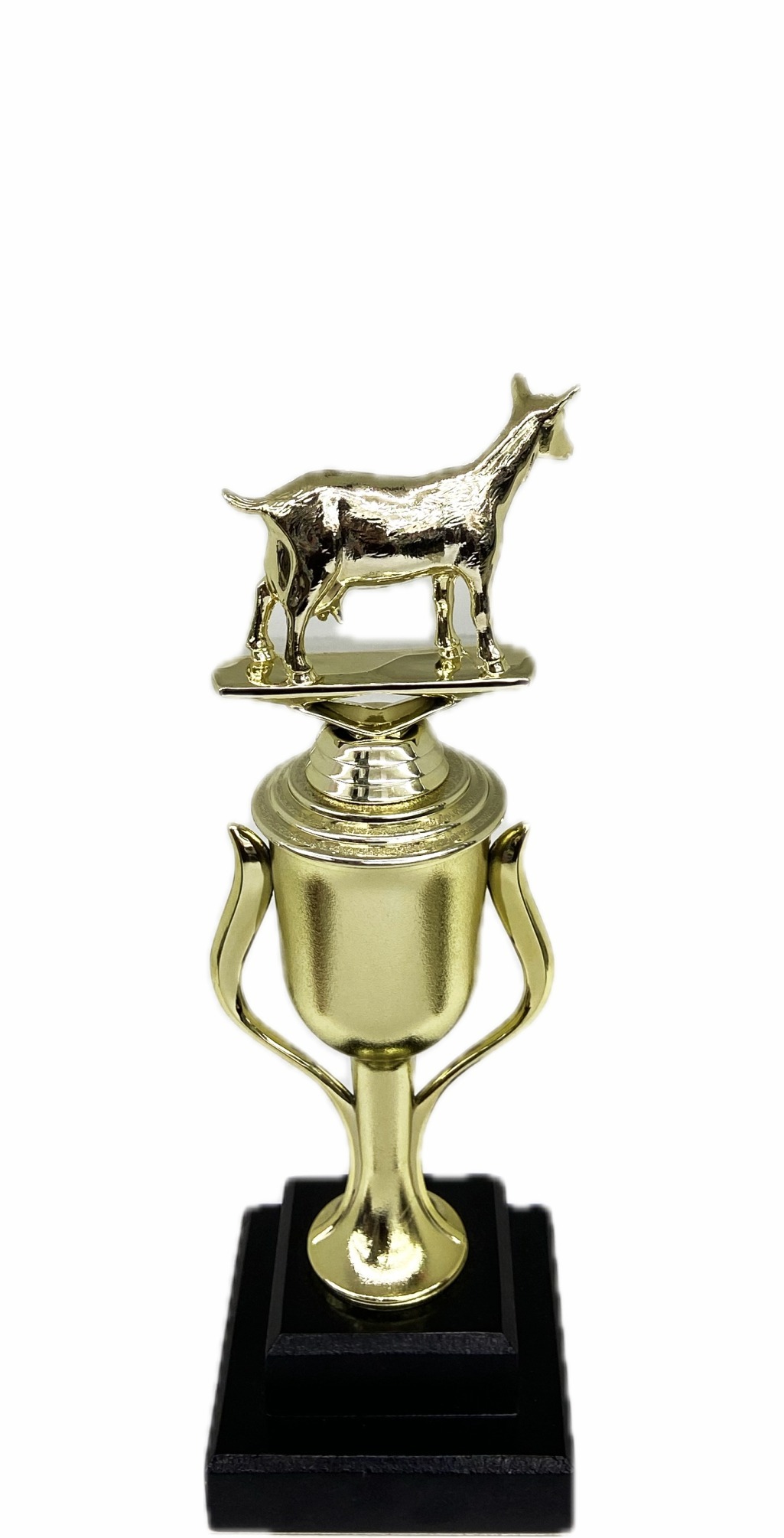 Dairy Goat Trophy 240mm