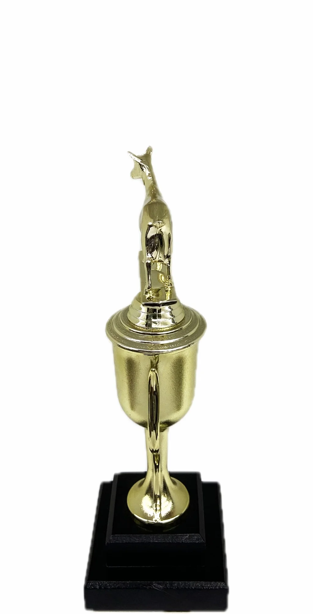 Dairy Goat Trophy 240mm