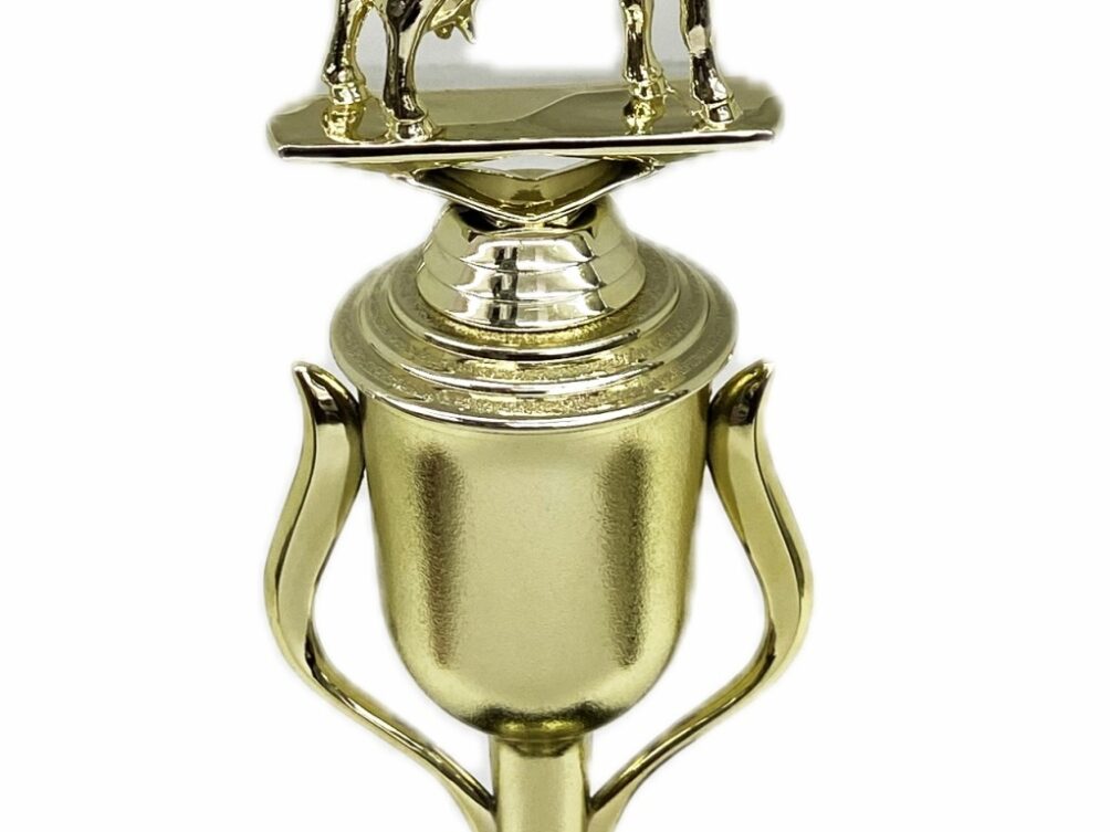 Dairy Goat Trophy 275mm