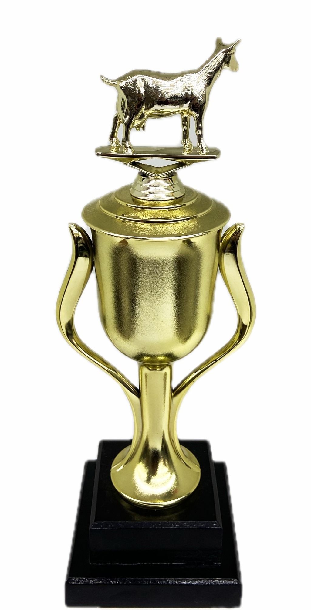 Dairy Goat Trophy 315mm