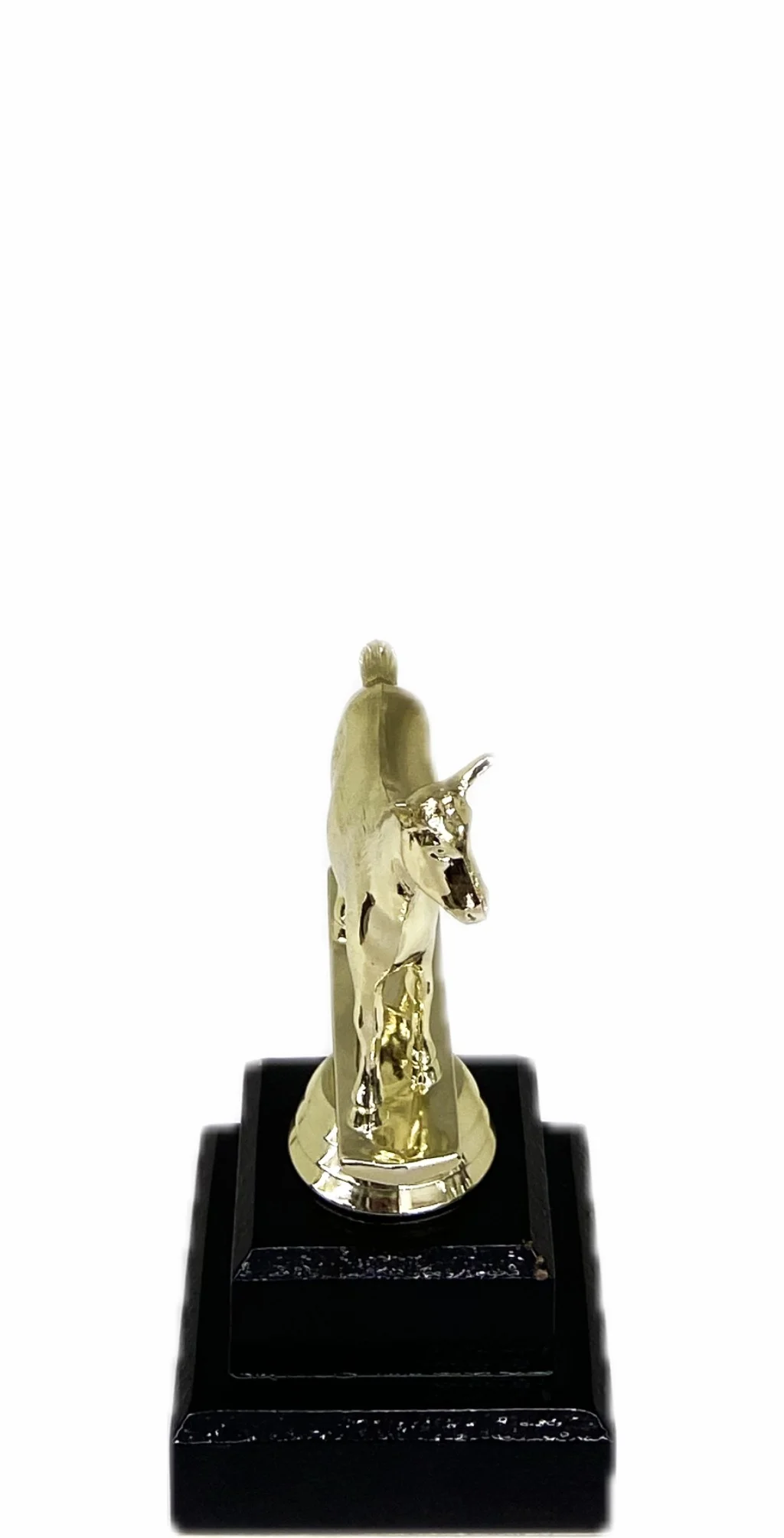 Dairy Goat Trophy 125mm