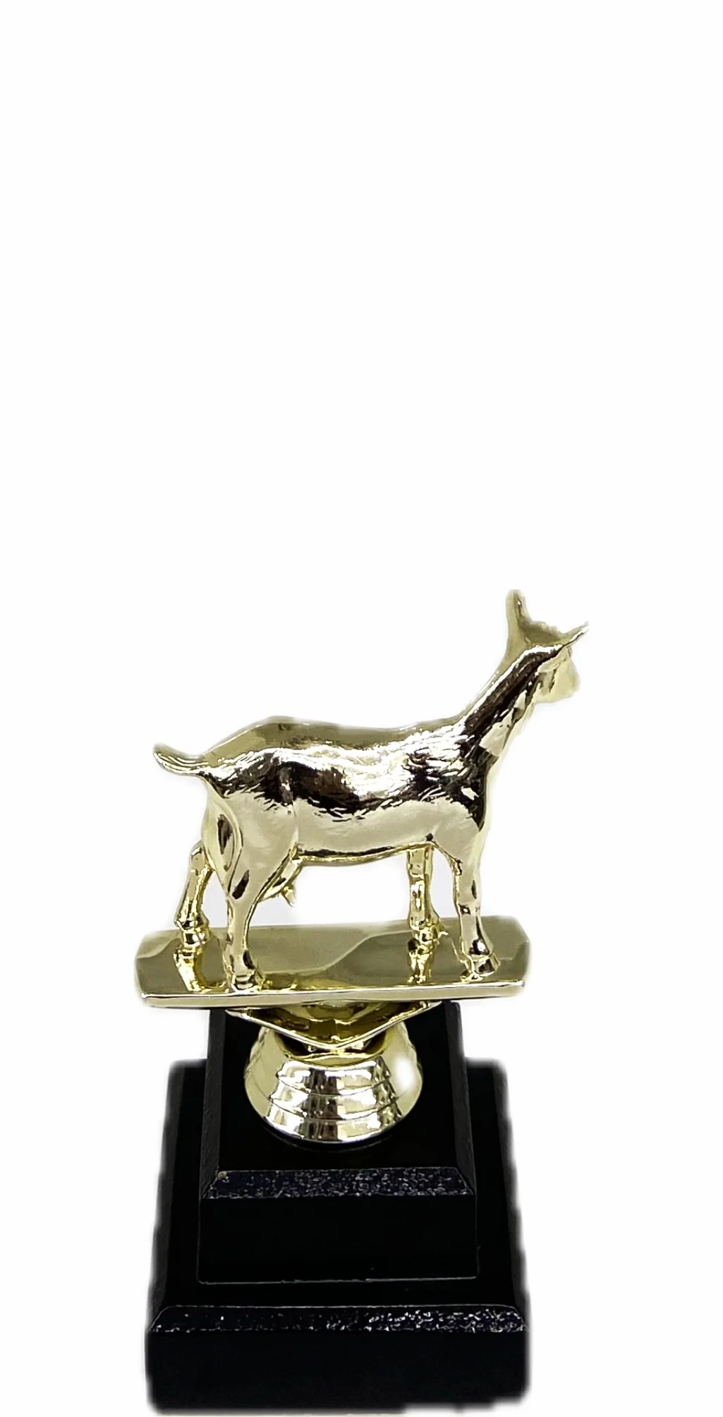 Dairy Goat Trophy 125mm