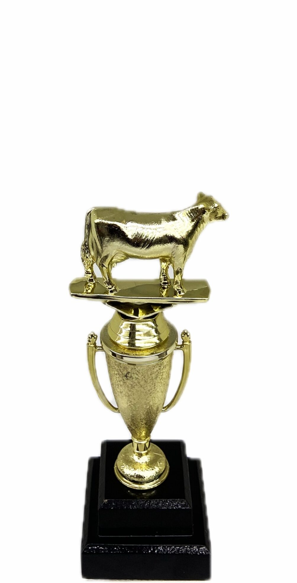 Dairy Cow Trophy 215mm
