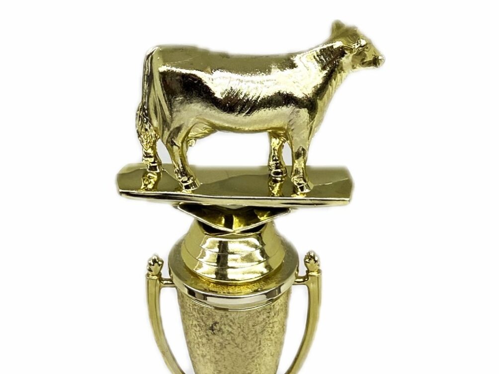 Dairy Cow Trophy 215mm