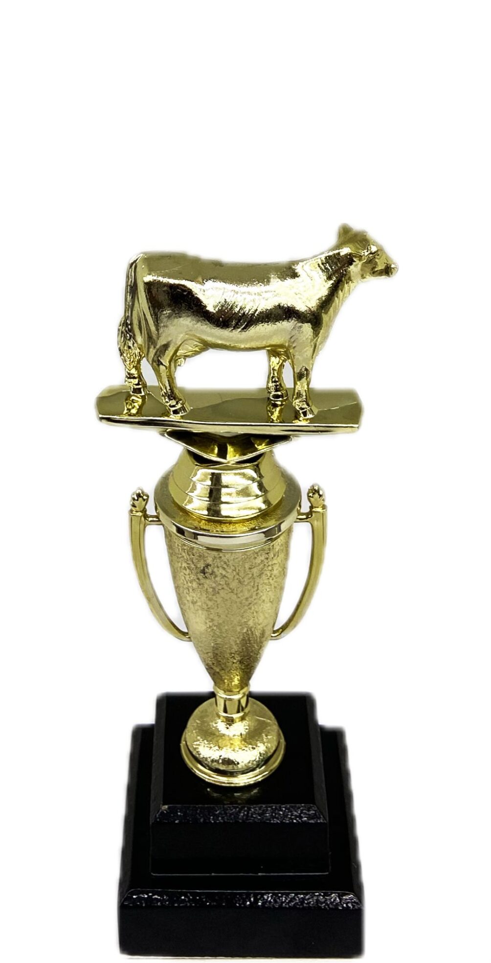 Dairy Cow Trophy 240mm