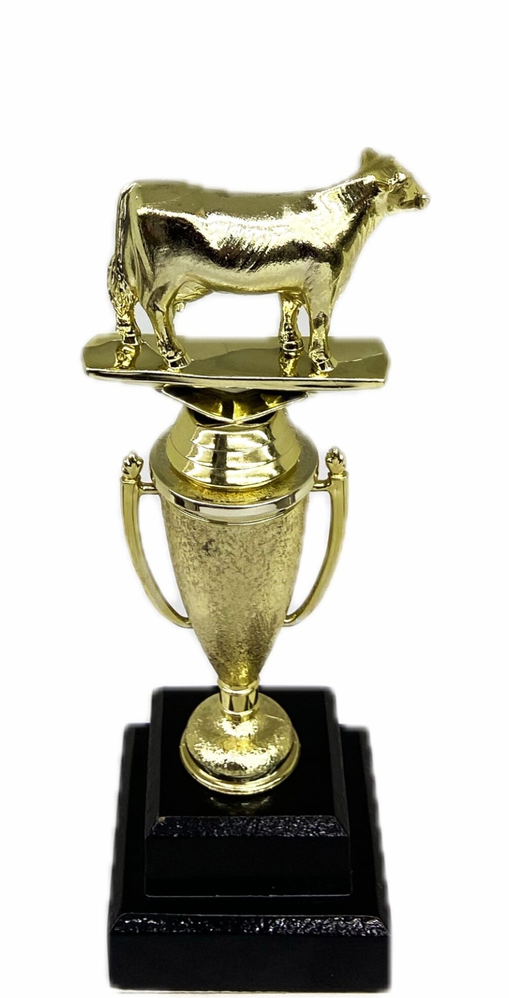 Dairy Cow Trophy 275mm