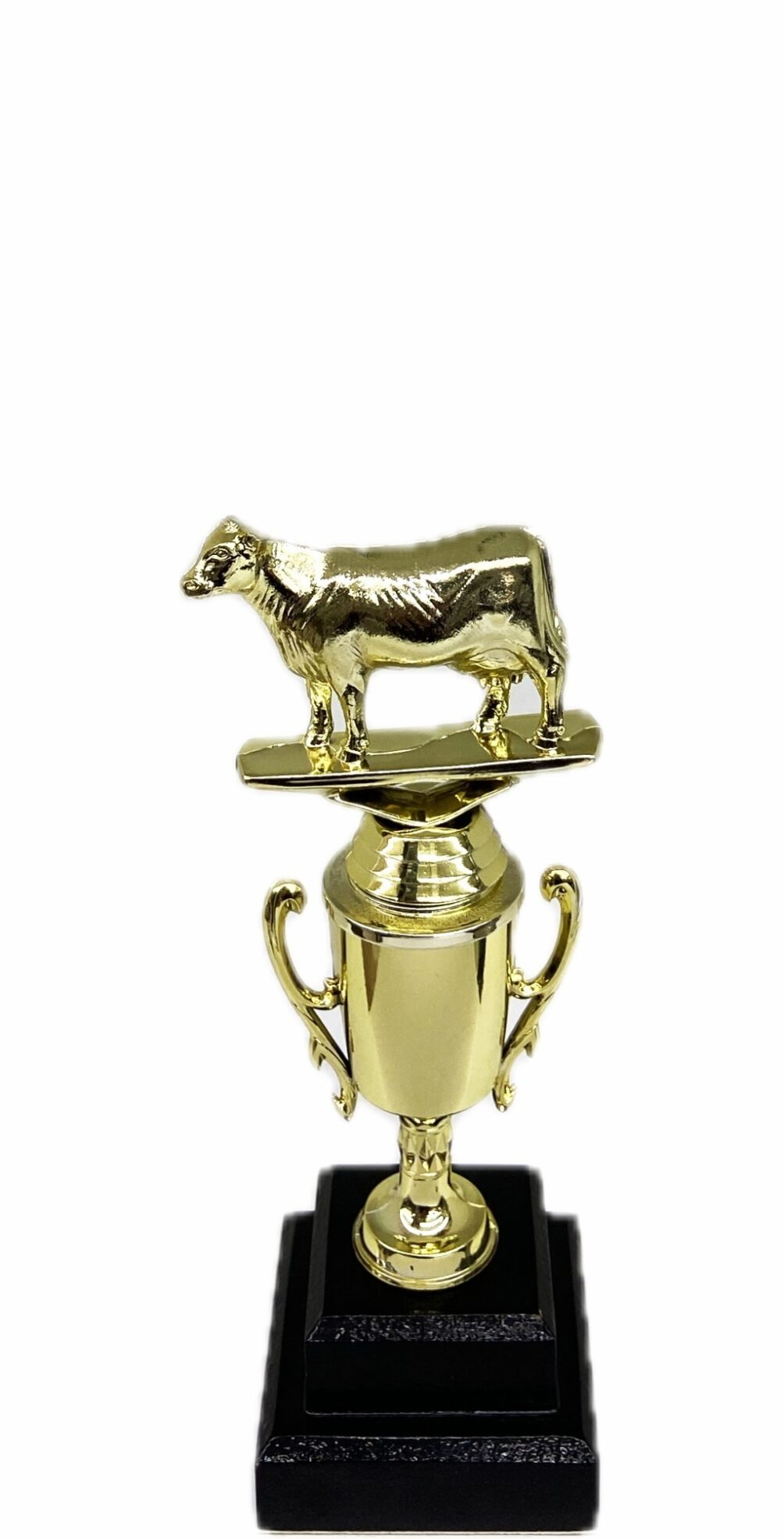 Dairy Cow Trophy 215mm