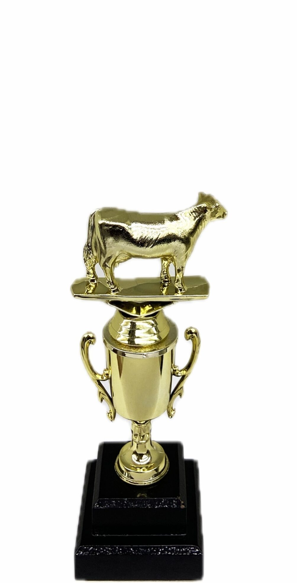 Dairy Cow Trophy 215mm