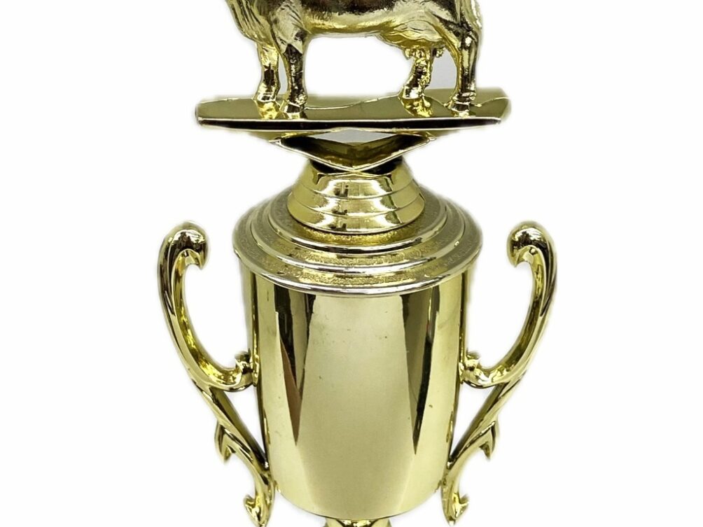 Dairy Cow Trophy 240mm