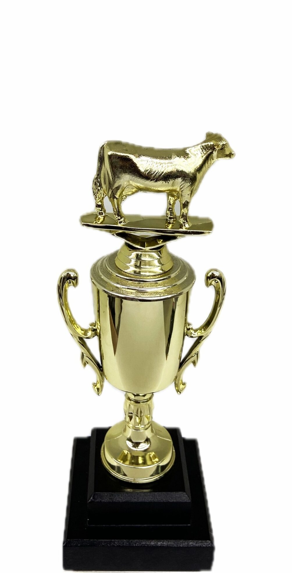 Dairy Cow Trophy 240mm