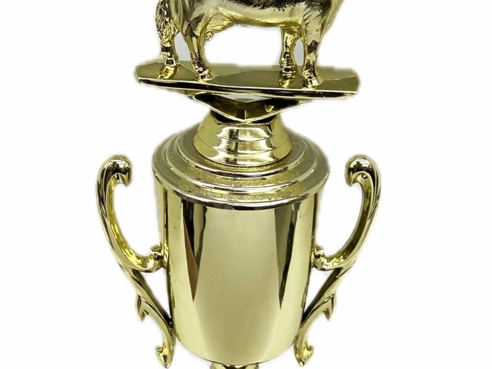 Dairy Cow Trophy 240mm