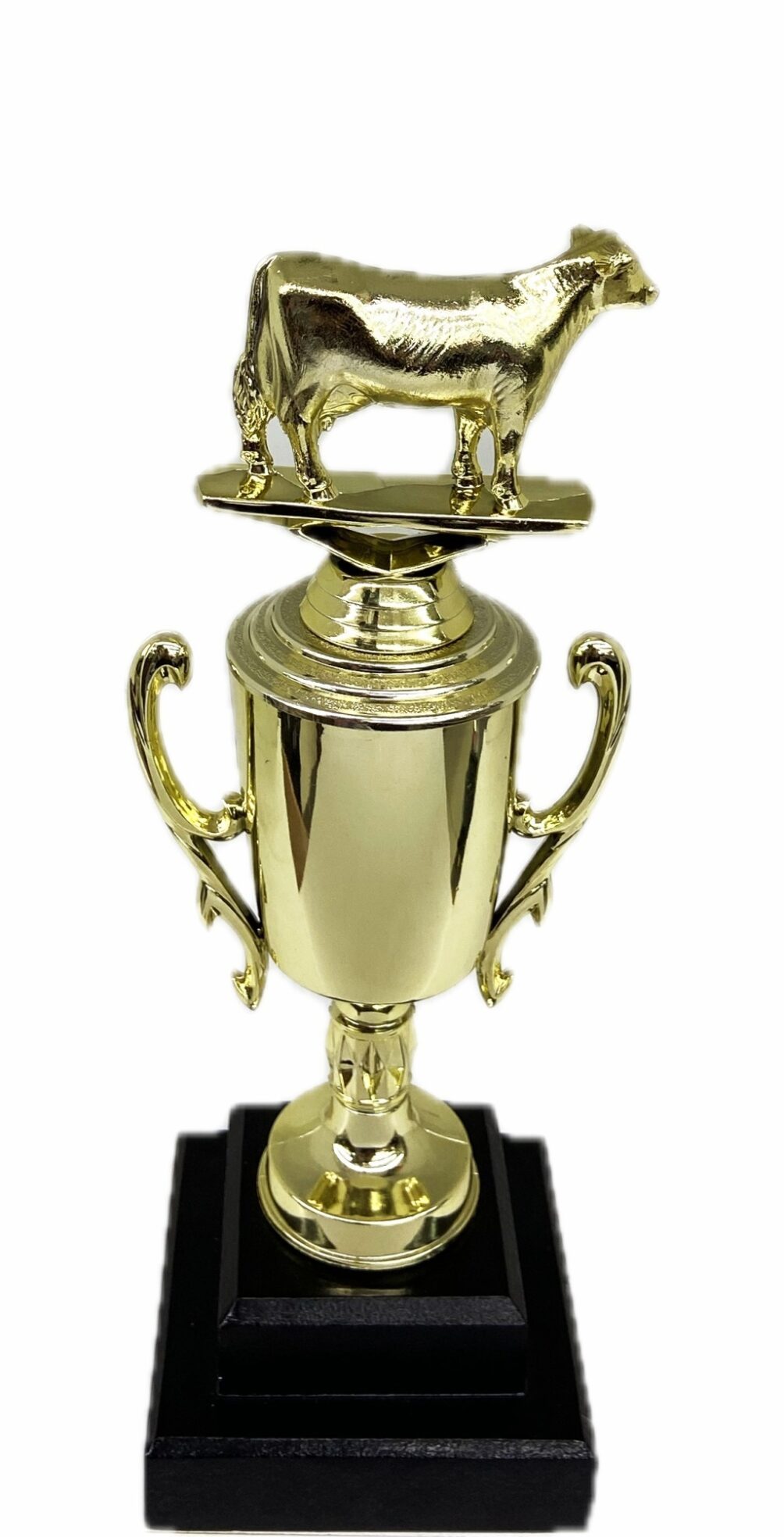 Dairy Cow Trophy 275mm