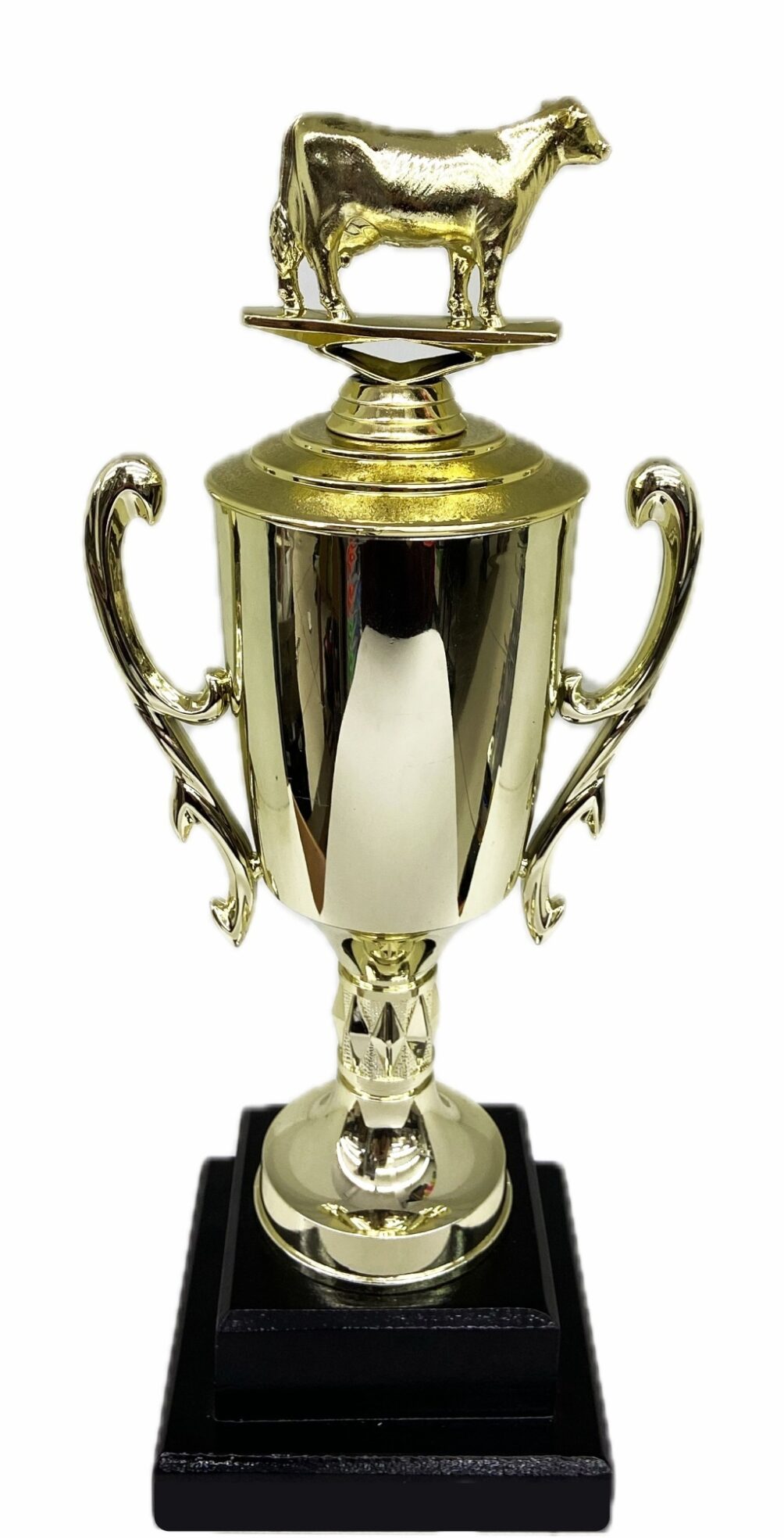Dairy Cow Trophy 315mm