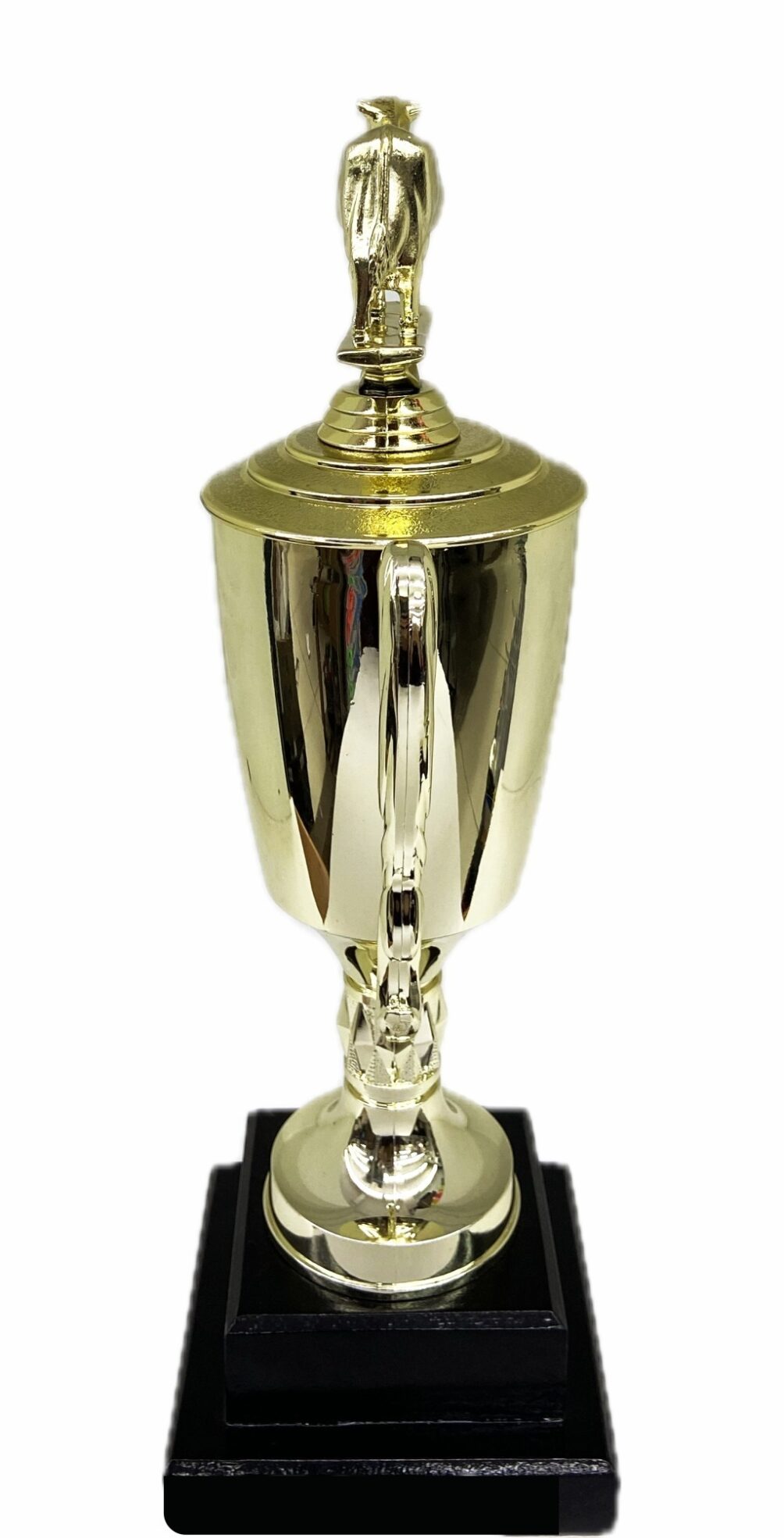 Dairy Cow Trophy 315mm
