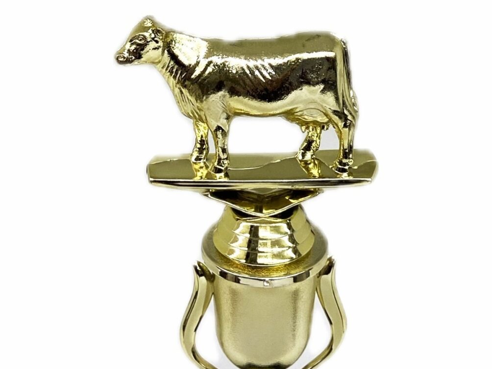 Dairy Cow Trophy 215mm