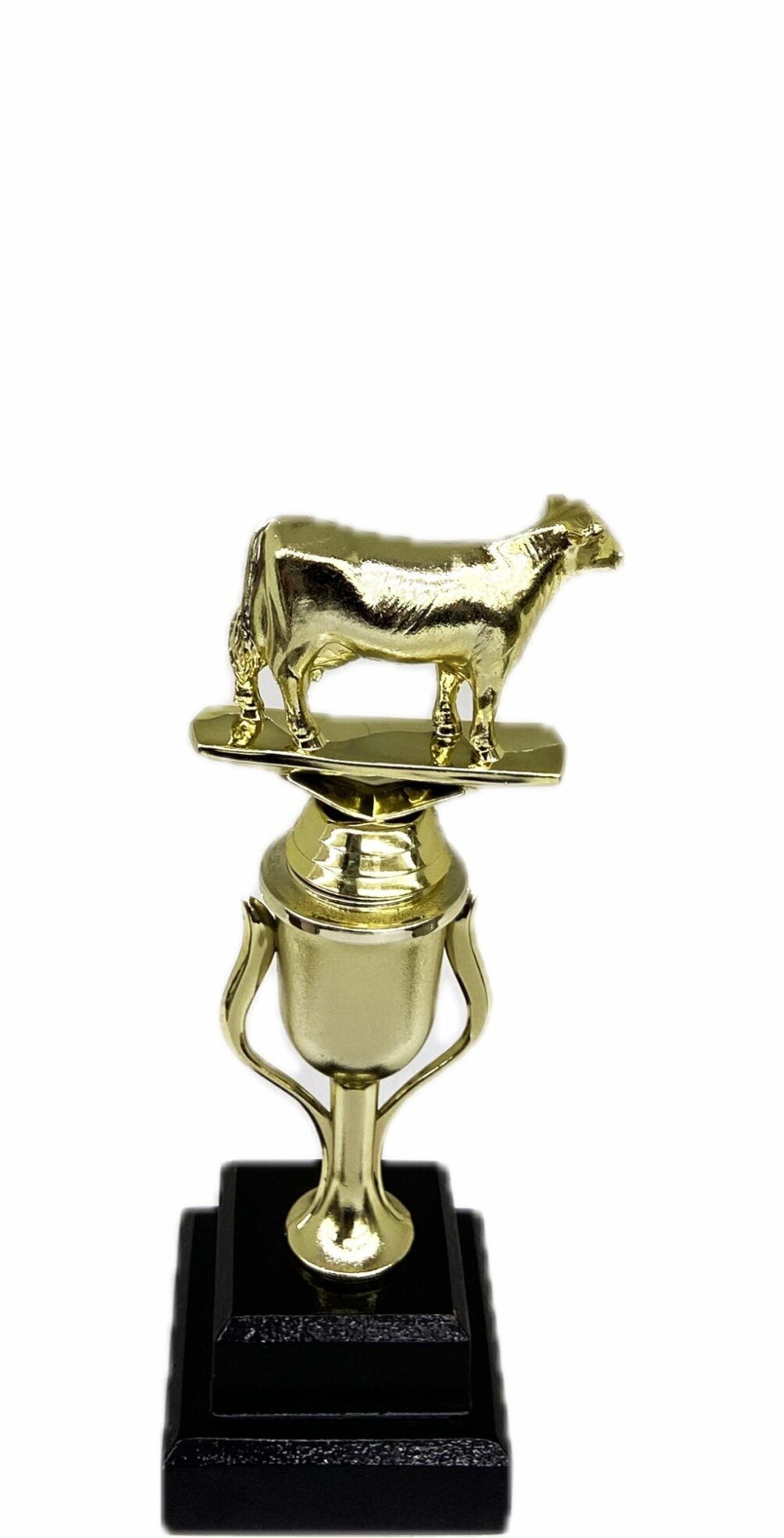 Dairy Cow Trophy 215mm