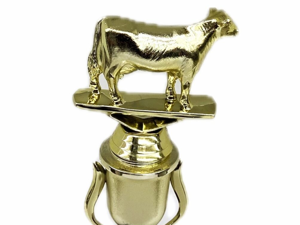 Dairy Cow Trophy 215mm