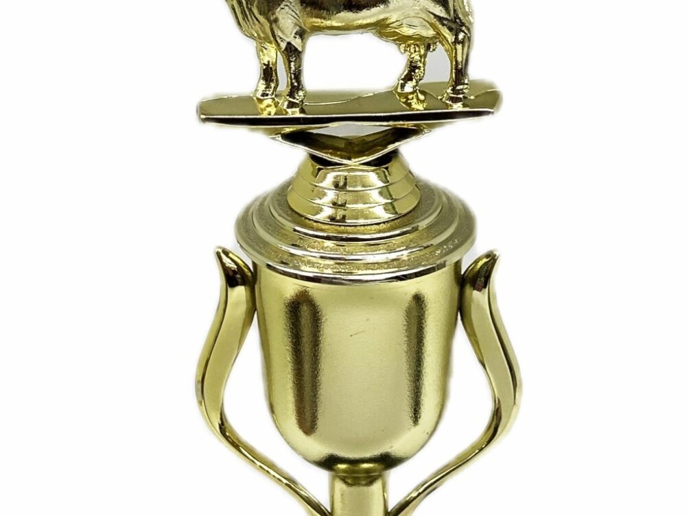 Dairy Cow Trophy 240mm