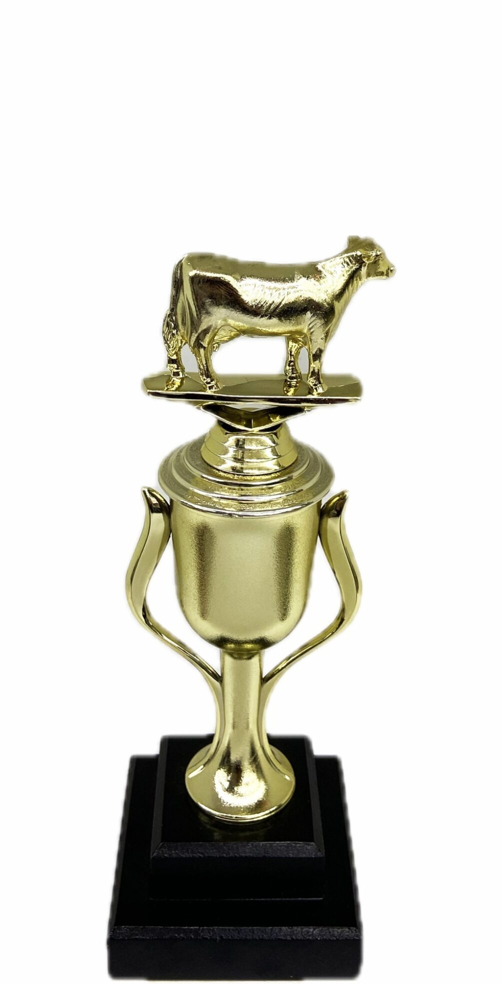 Dairy Cow Trophy 240mm