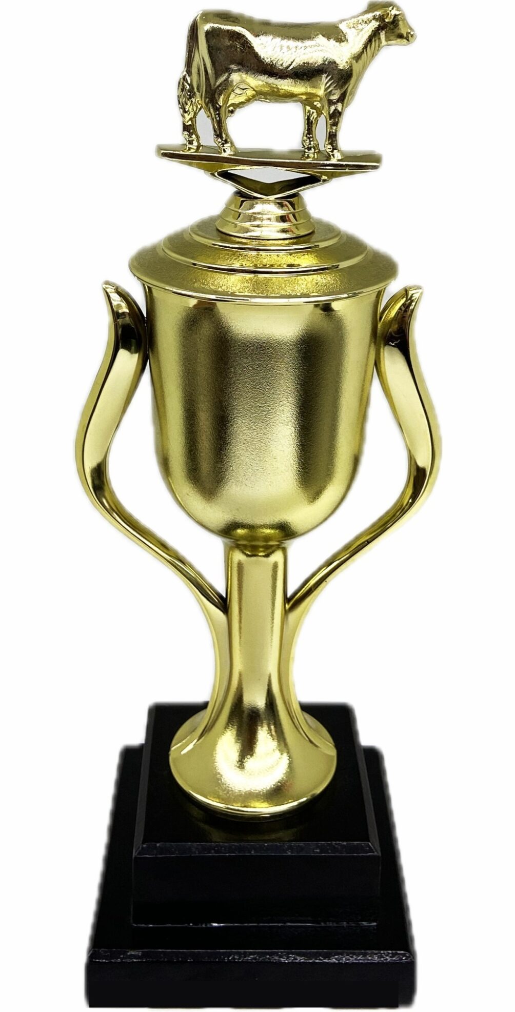 Dairy Cow Trophy 355mm