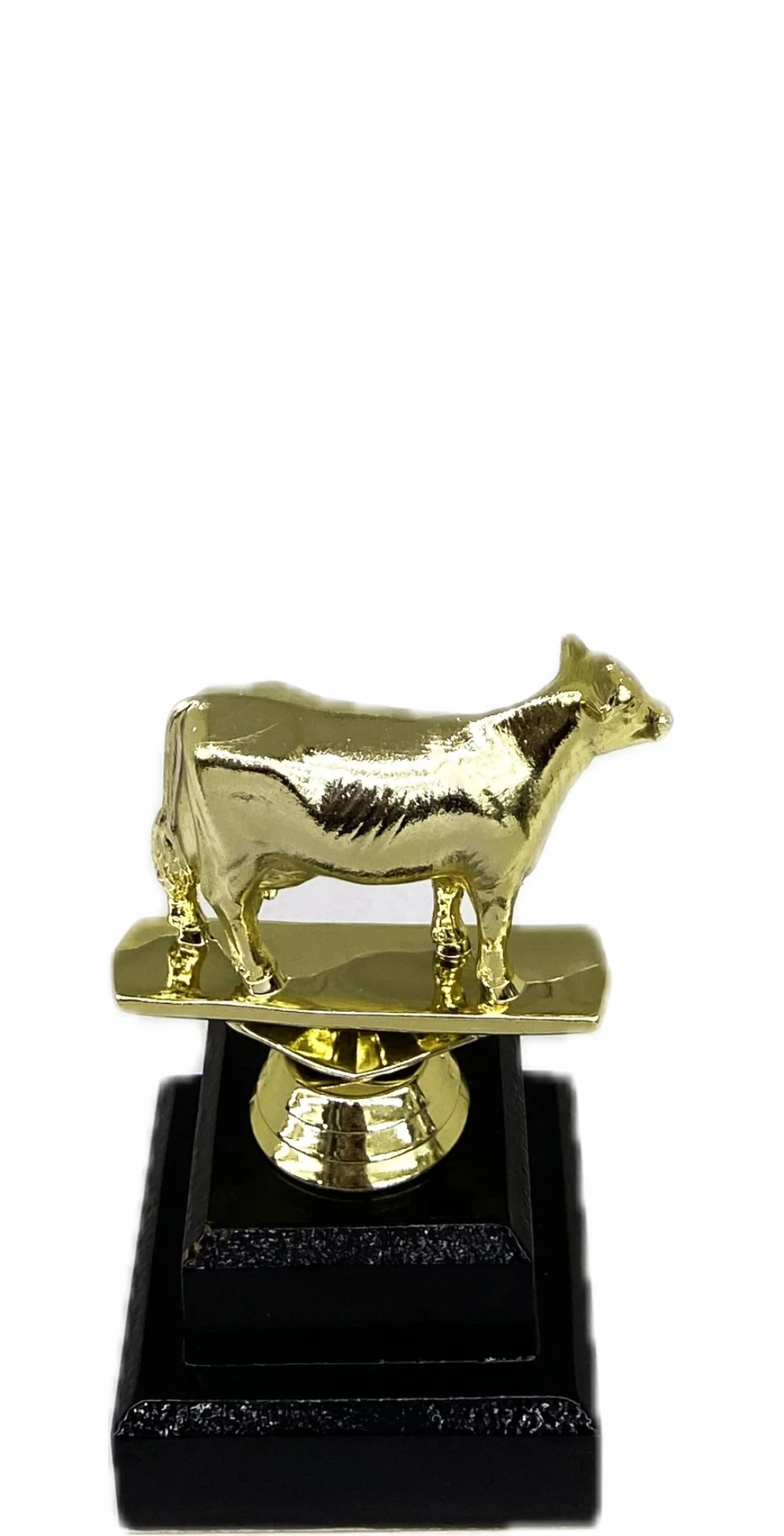 Dairy Cow Trophy 125mm