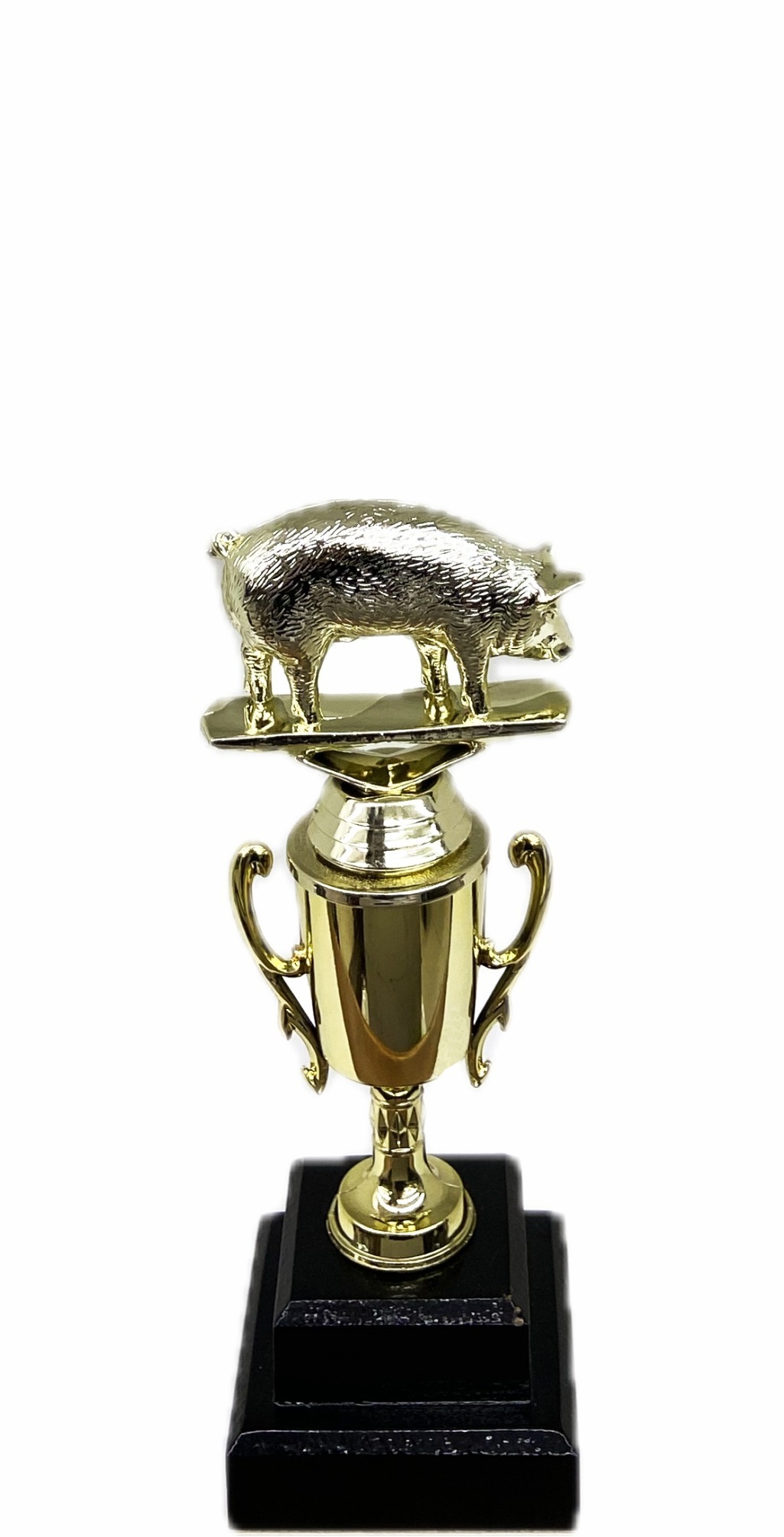 Pig Trophy 215mm
