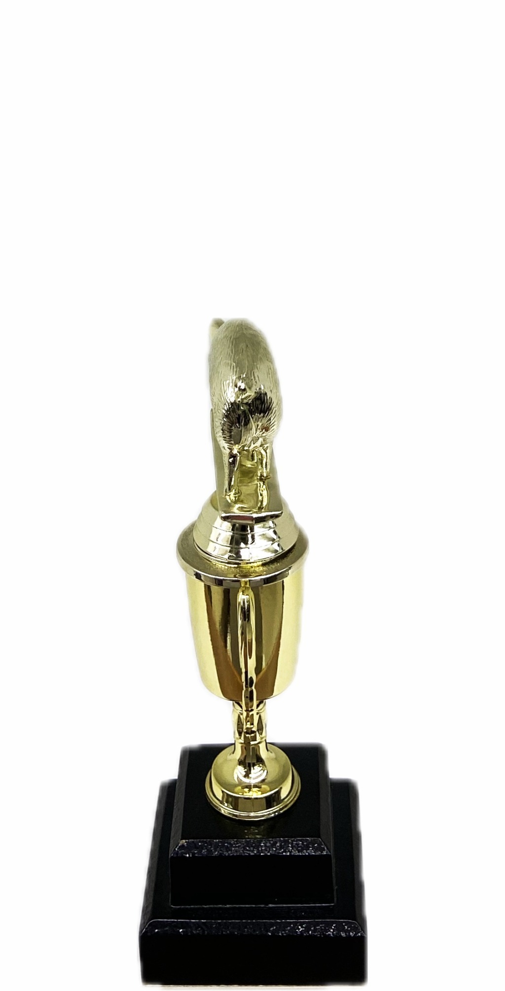 Pig Trophy 215mm