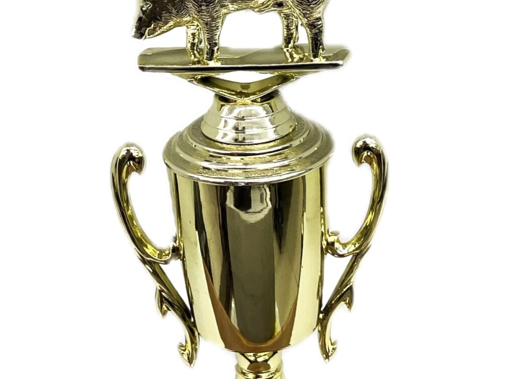 Pig Trophy 240mm