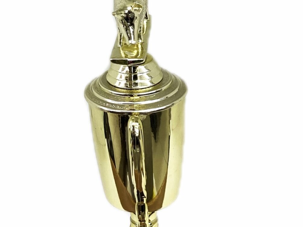 Pig Trophy 240mm