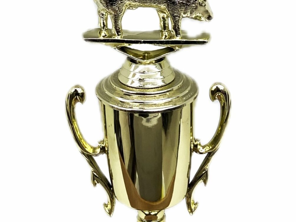 Pig Trophy 240mm