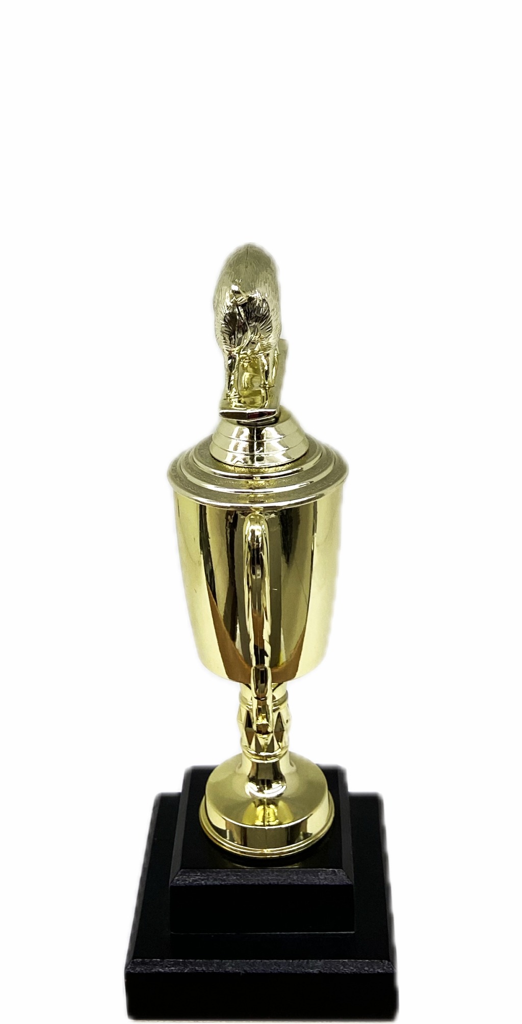 Pig Trophy 240mm