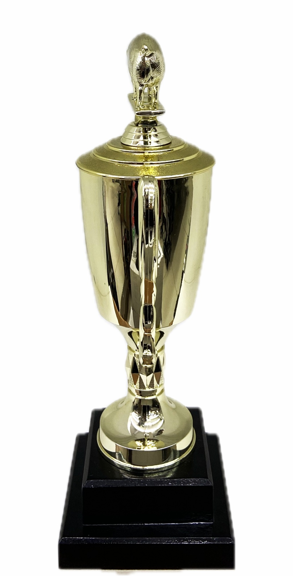 Pig Trophy 315mm