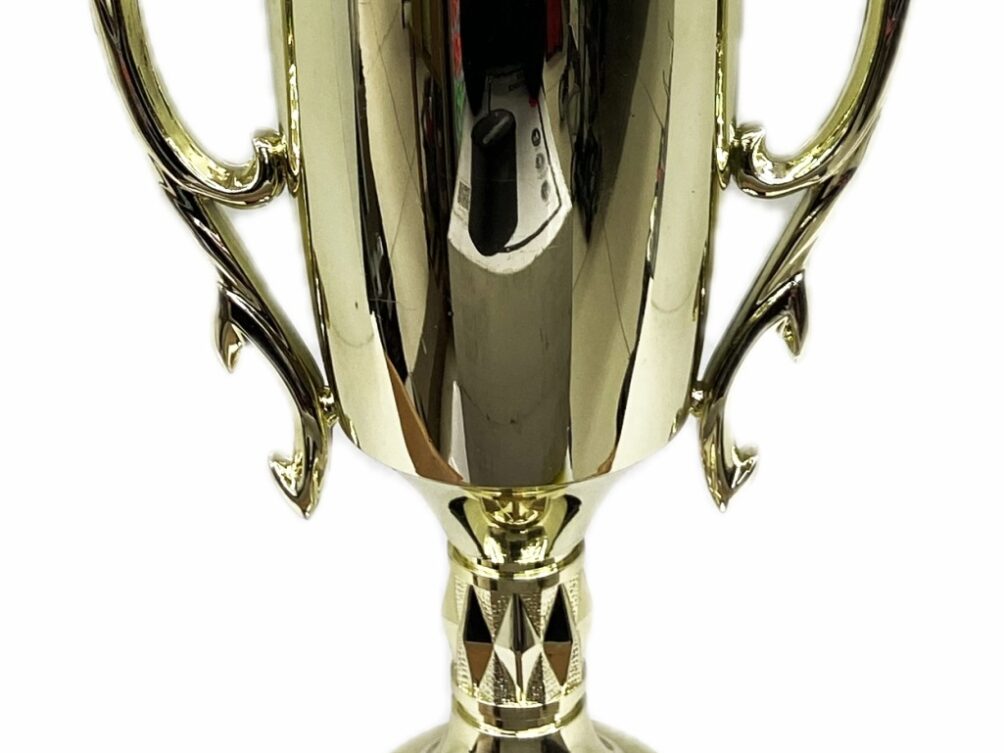 Pig Trophy 355mm