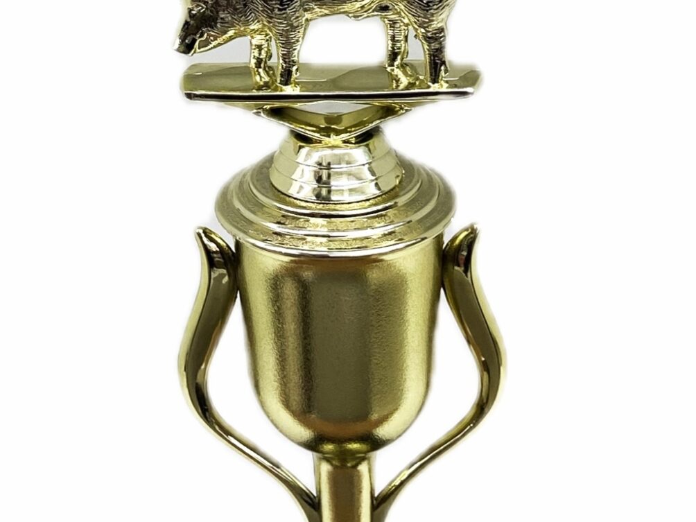 Pig Trophy 240mm