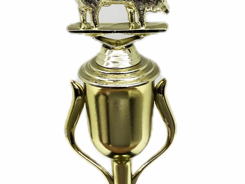 Pig Trophy 240mm
