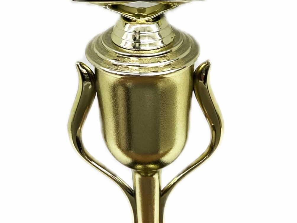 Pig Trophy 275mm