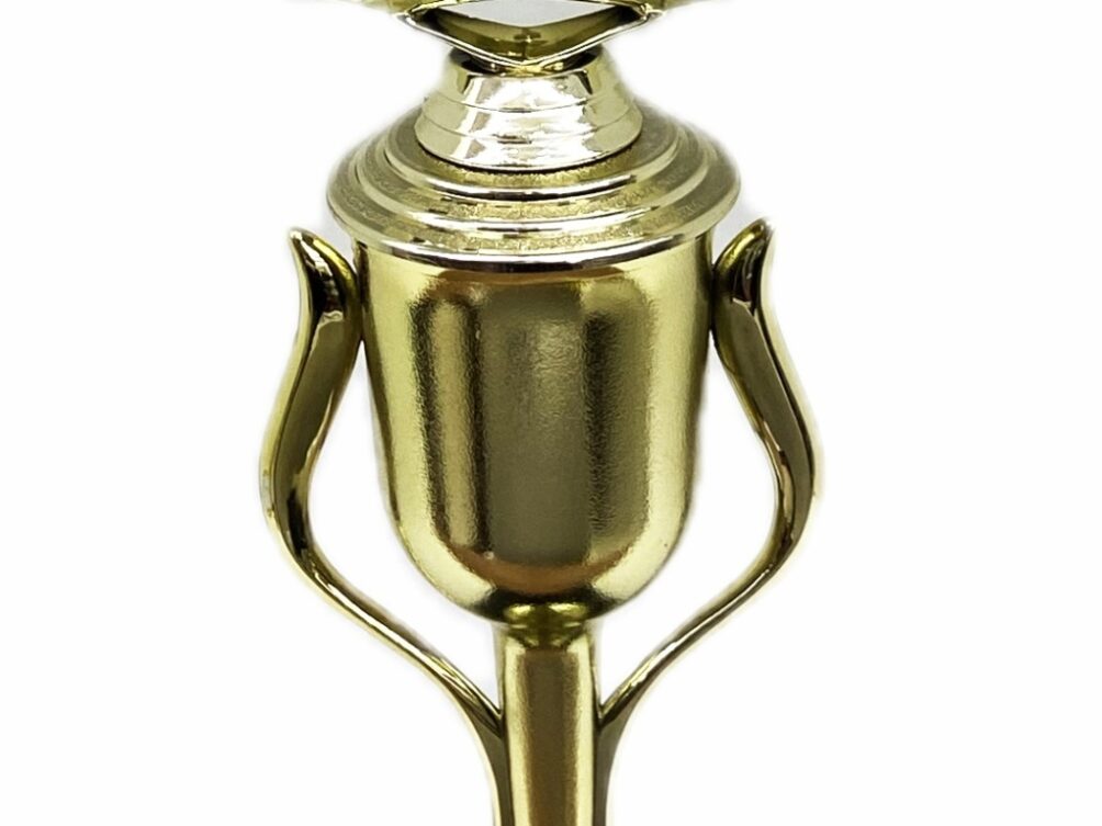 Pig Trophy 275mm