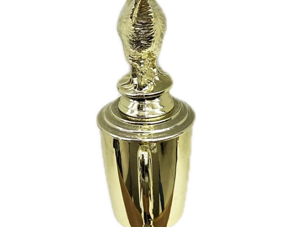 Chicken Trophy 240mm